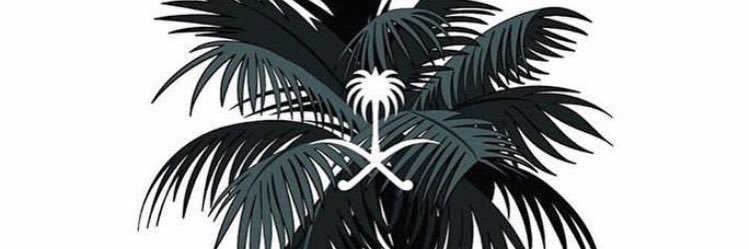 saad_alsh3's profile banner image