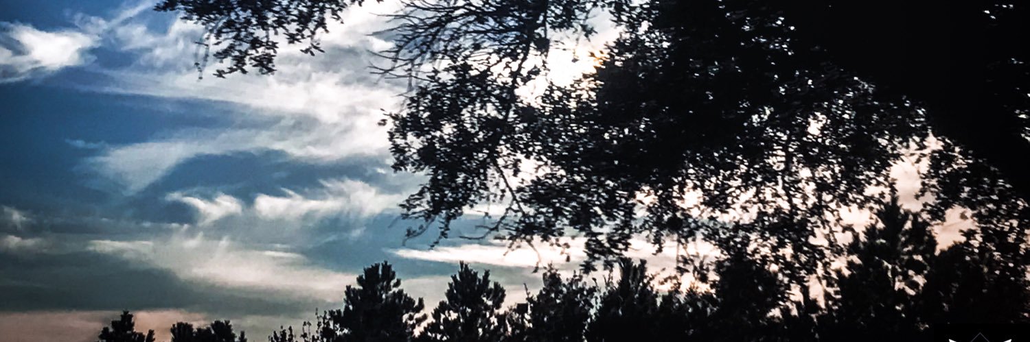 Crystal_Prz_'s profile banner image
