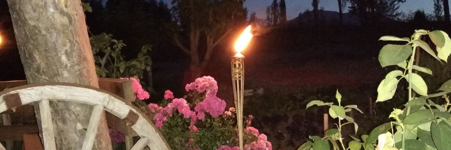 mrskrt's profile banner image