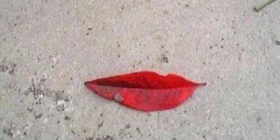 Galatea Poética banner