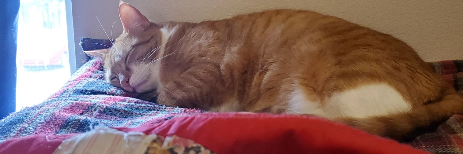 sporkage's profile banner image
