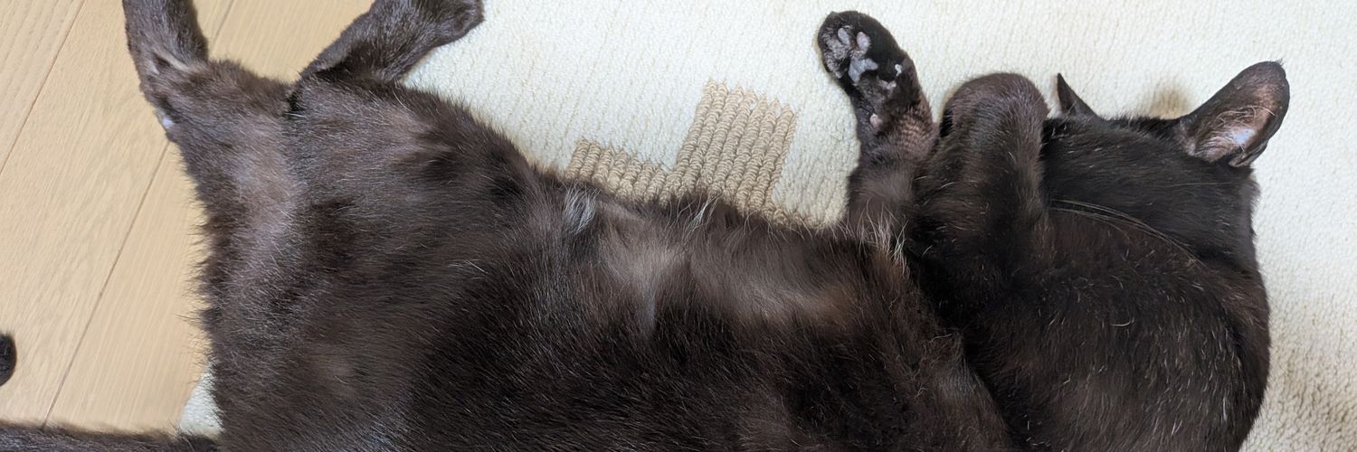 黒猫のそれ banner