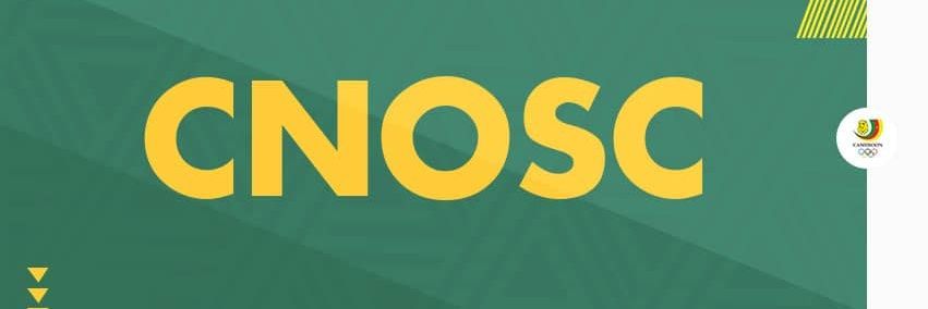 Comité Olympique CMR banner