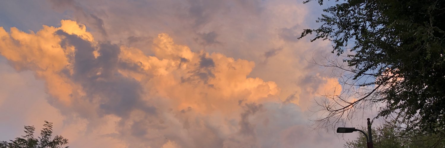 KarluskyR's profile banner image