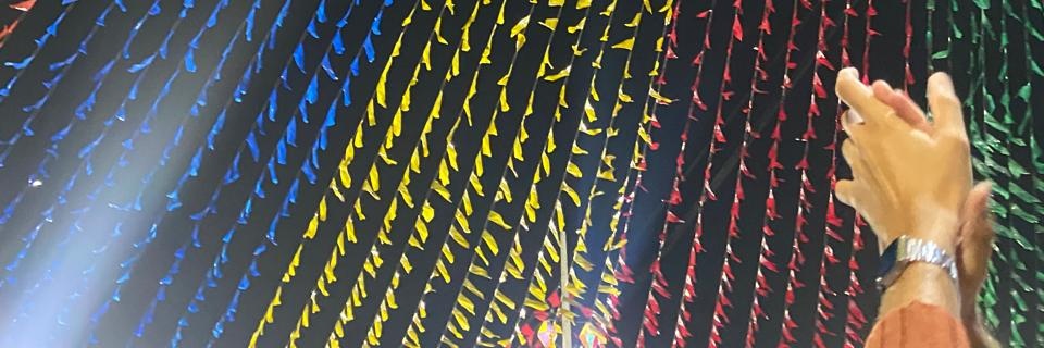 bem anne banner