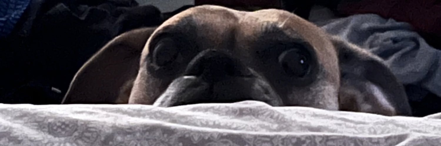 jerja_wutt's profile banner image