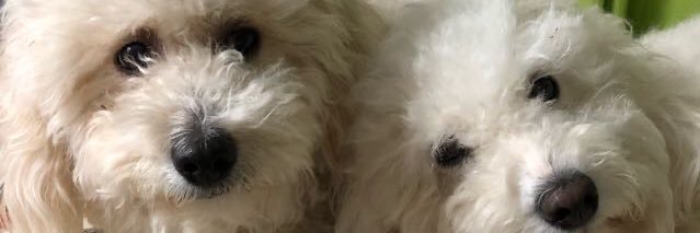 Sol_Miranda13's profile banner image