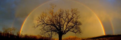 jjperezk's profile banner image