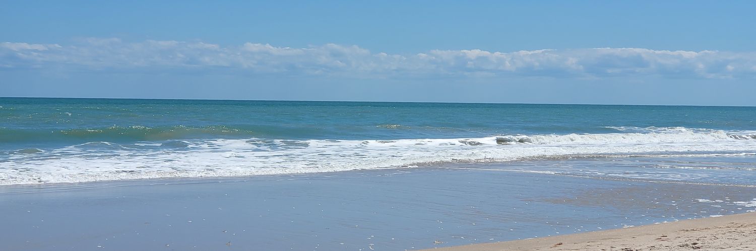 Gavin McCarty banner