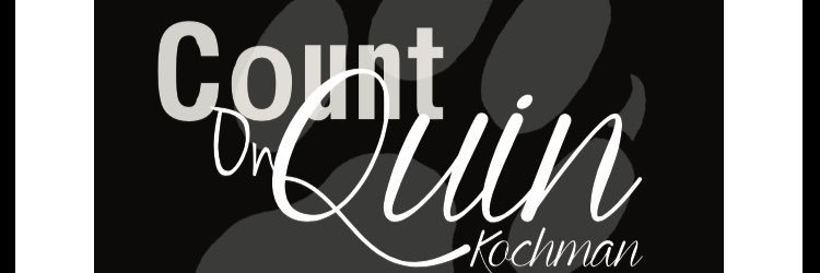 Quin4ASIVP's profile banner image