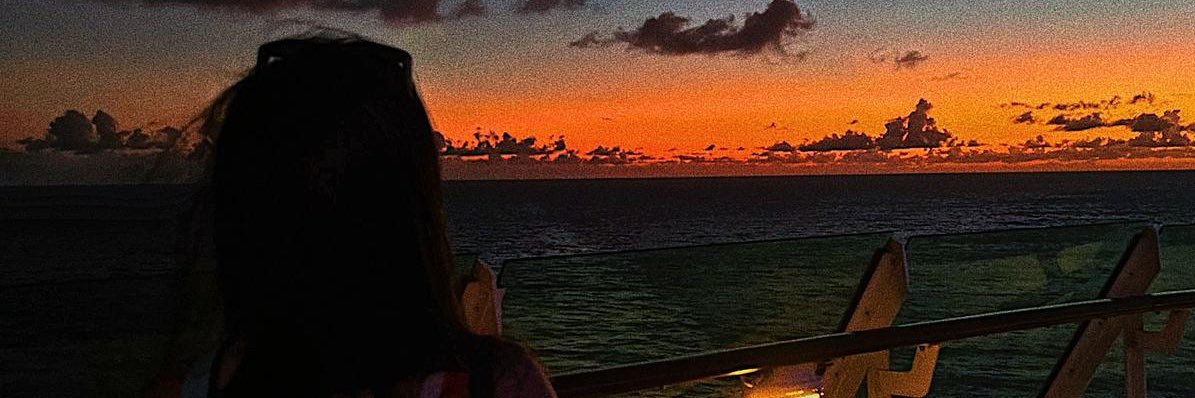 vxl2_'s profile banner image