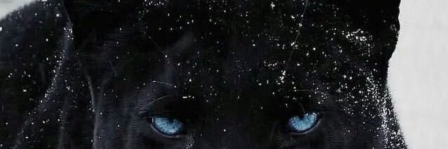 _Kerialyse's profile banner image
