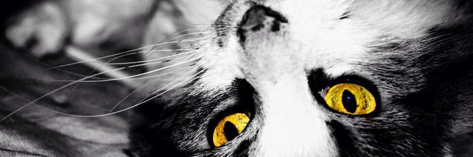 TANK_47's profile banner image
