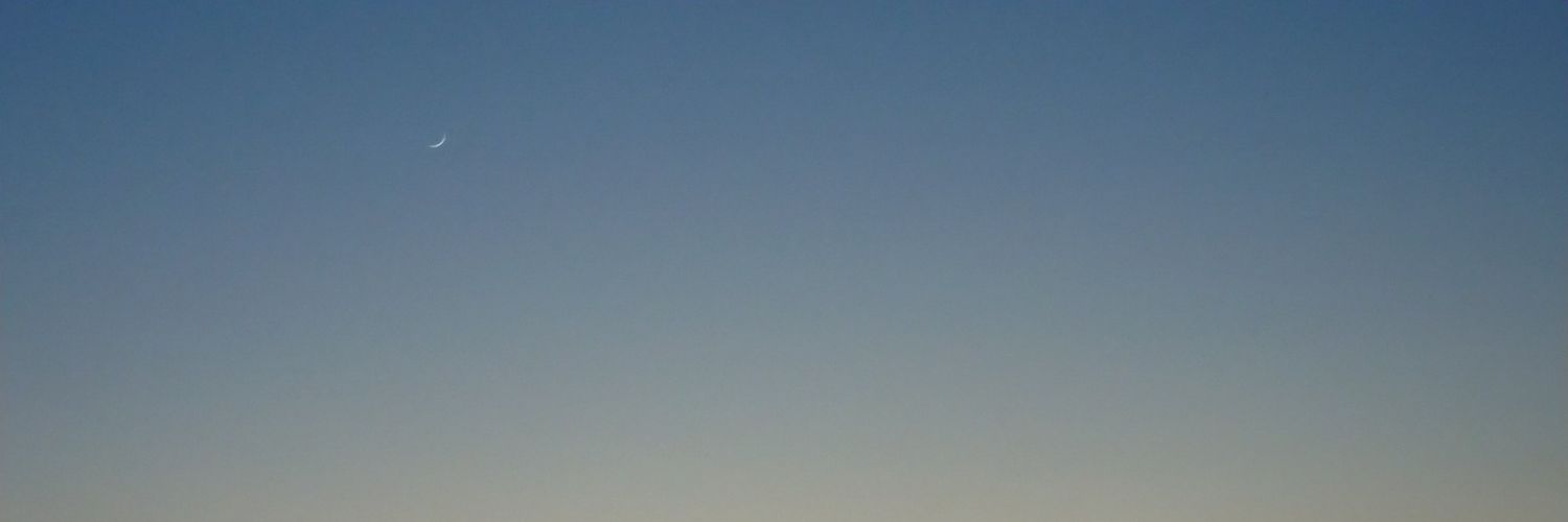 tnloyy's profile banner image