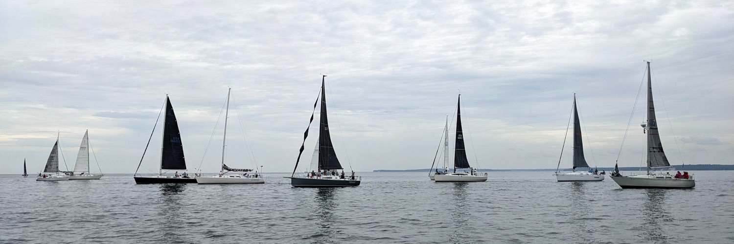 Rachel Luxemburg banner