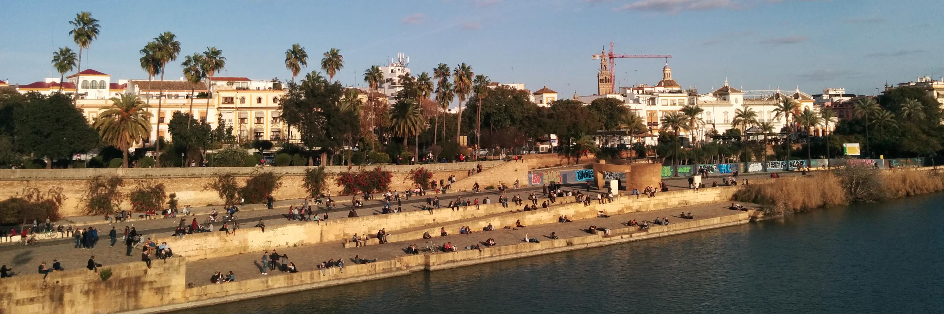 Caora McKenna banner