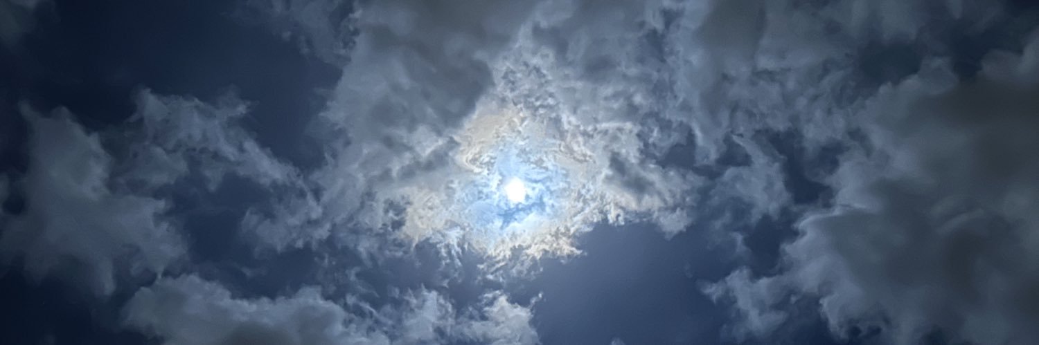 DessyWilson's profile banner image