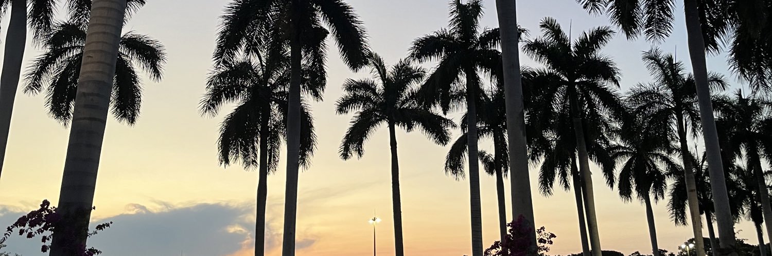 ChelooRodriguez's profile banner image