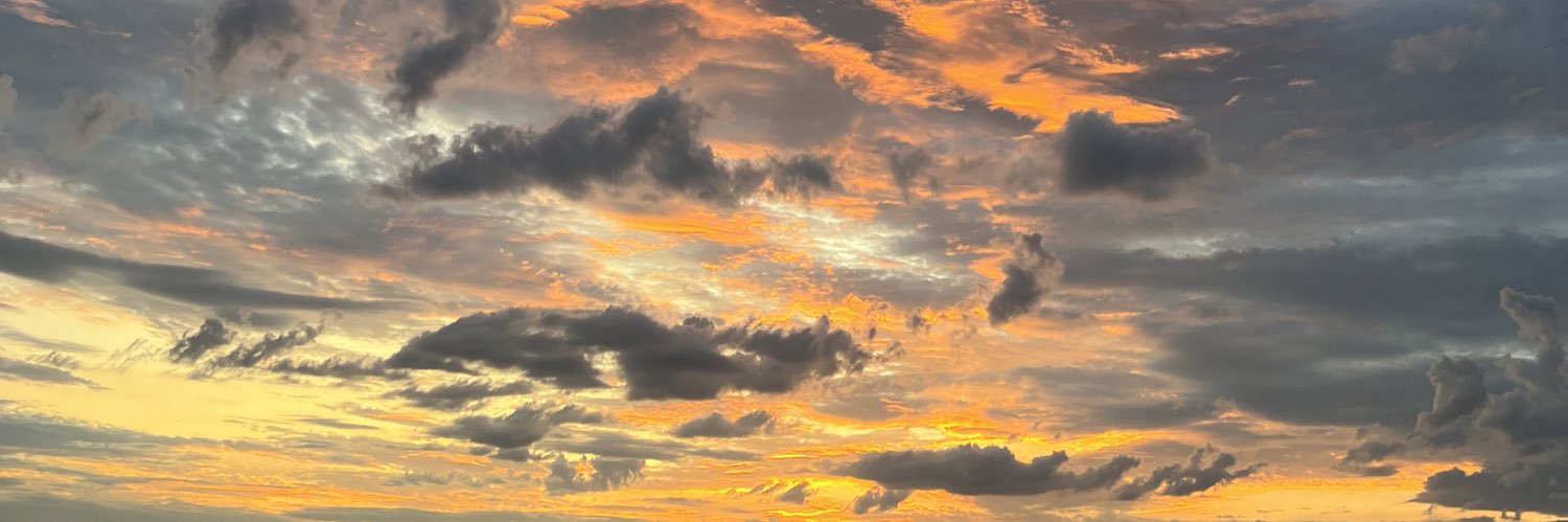 dudatoledot's profile banner image