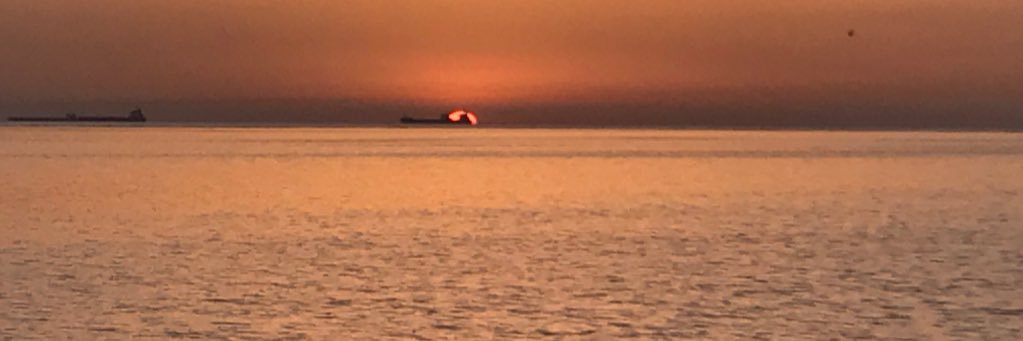 الــفـهــد banner