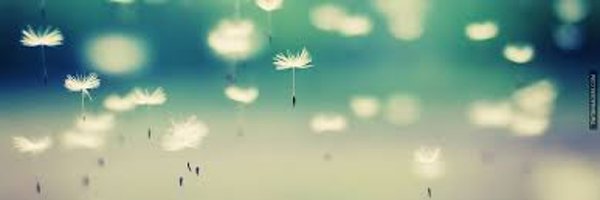 HomelessWindsor Profile Banner