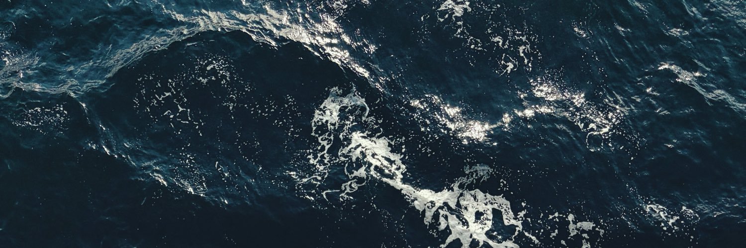 kylie banner