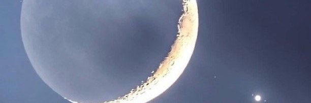 cinawoah's profile banner image