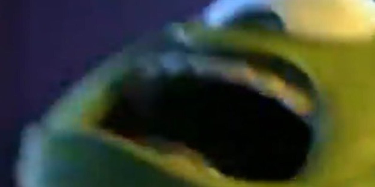 idgafraud's profile banner image