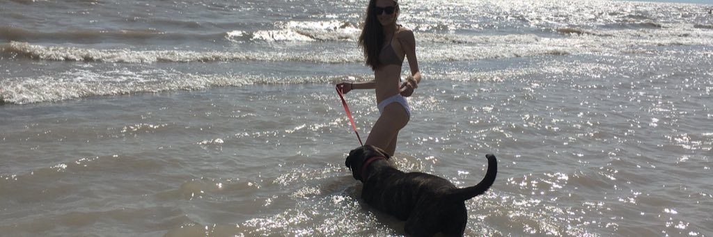 Hailea_Docker's profile banner image