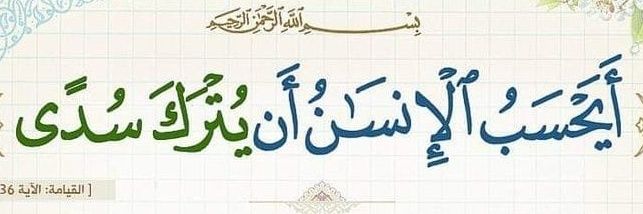يوسف banner