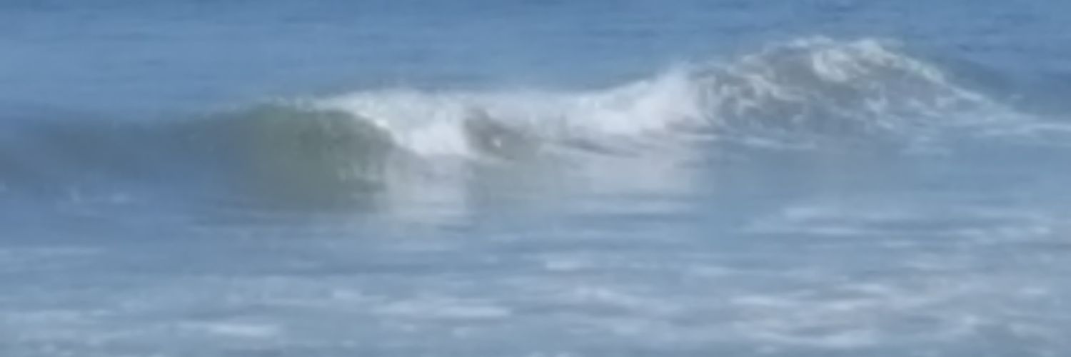 DeDe Lee Lewis banner