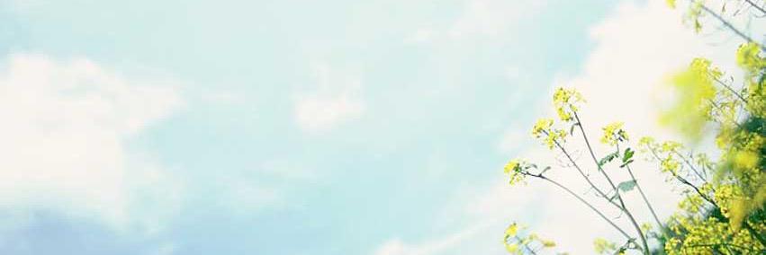 mvnantucket's profile banner image