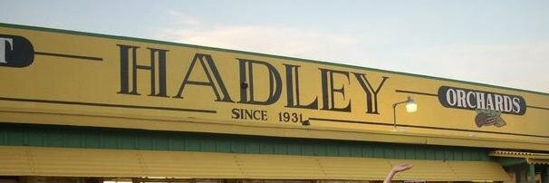 Hadley Malcolm banner
