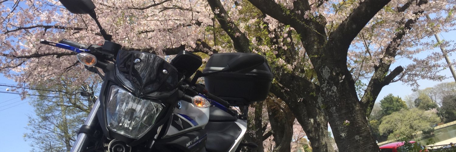 Daichinvv's profile banner image