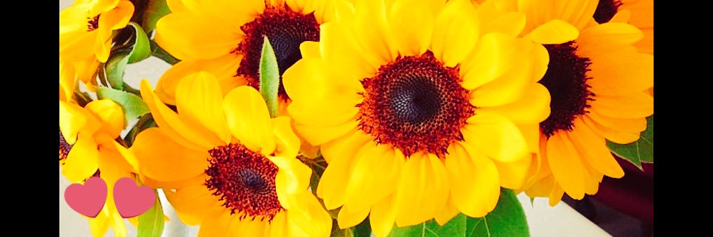 clauves12's profile banner image
