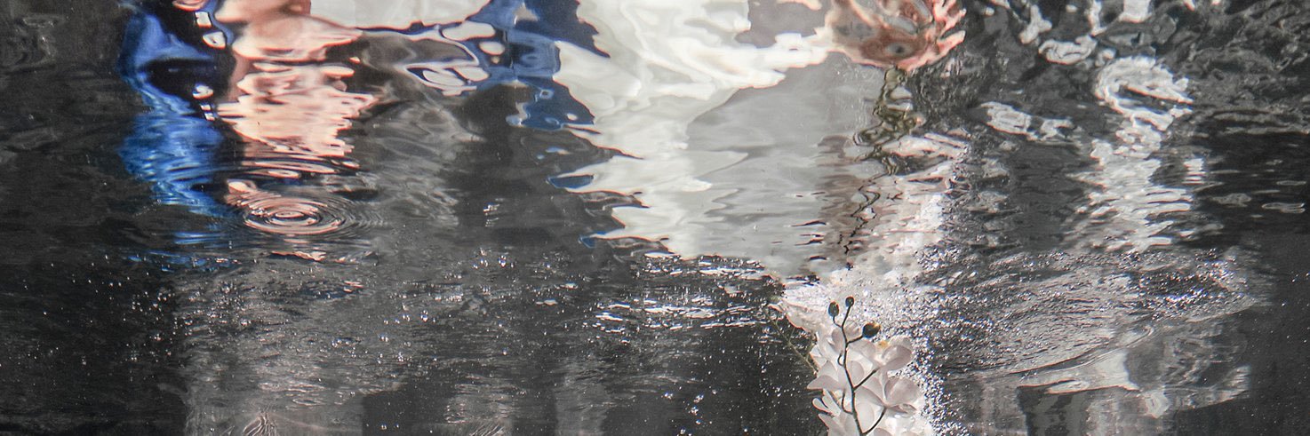 quansorandom's profile banner image