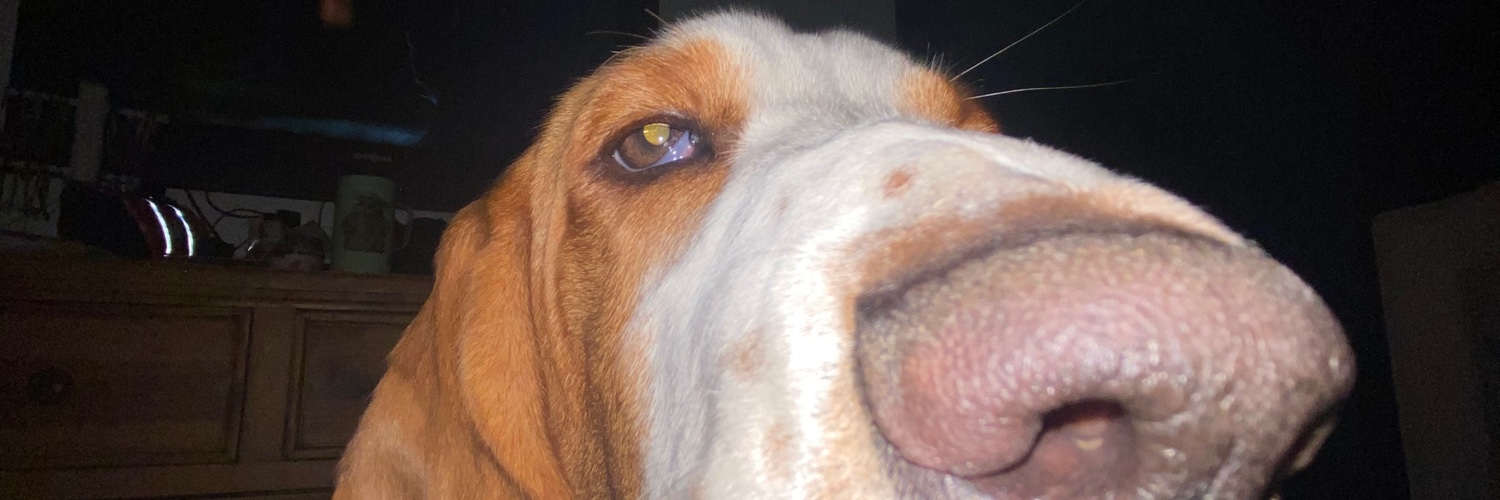 haleystokessss's profile banner image