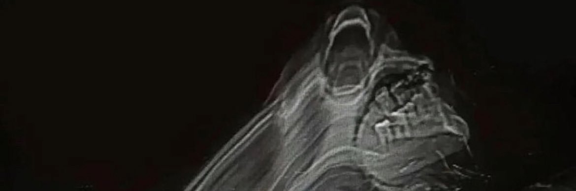 easyflowrider's profile banner image
