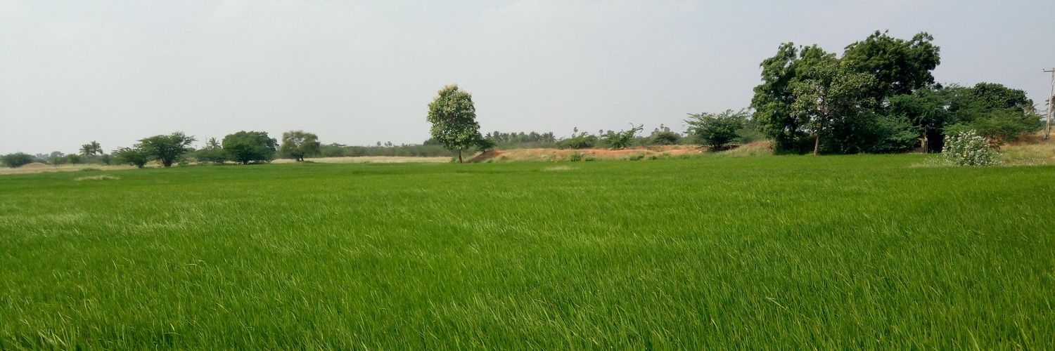 don_mathan's profile banner image