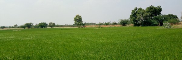 don_mathan Profile Banner