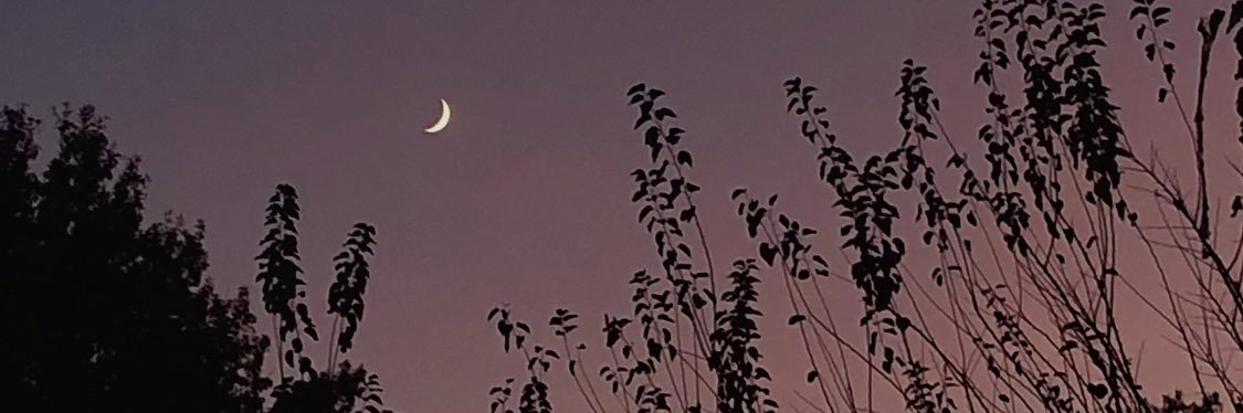 payton182's profile banner image