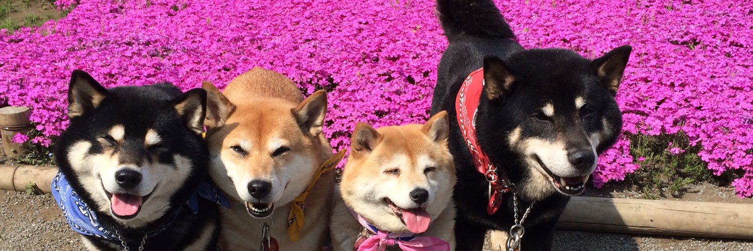 kmrhmy's profile banner image