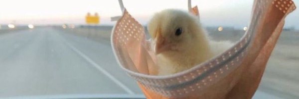 braydenwatkins0 Profile Banner