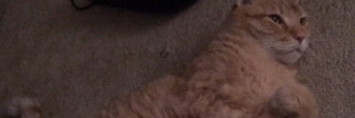henrybright123's profile banner image