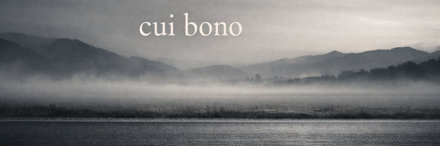 cui bono banner