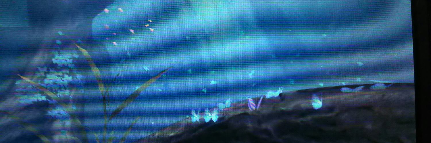 ひとりぼっち banner