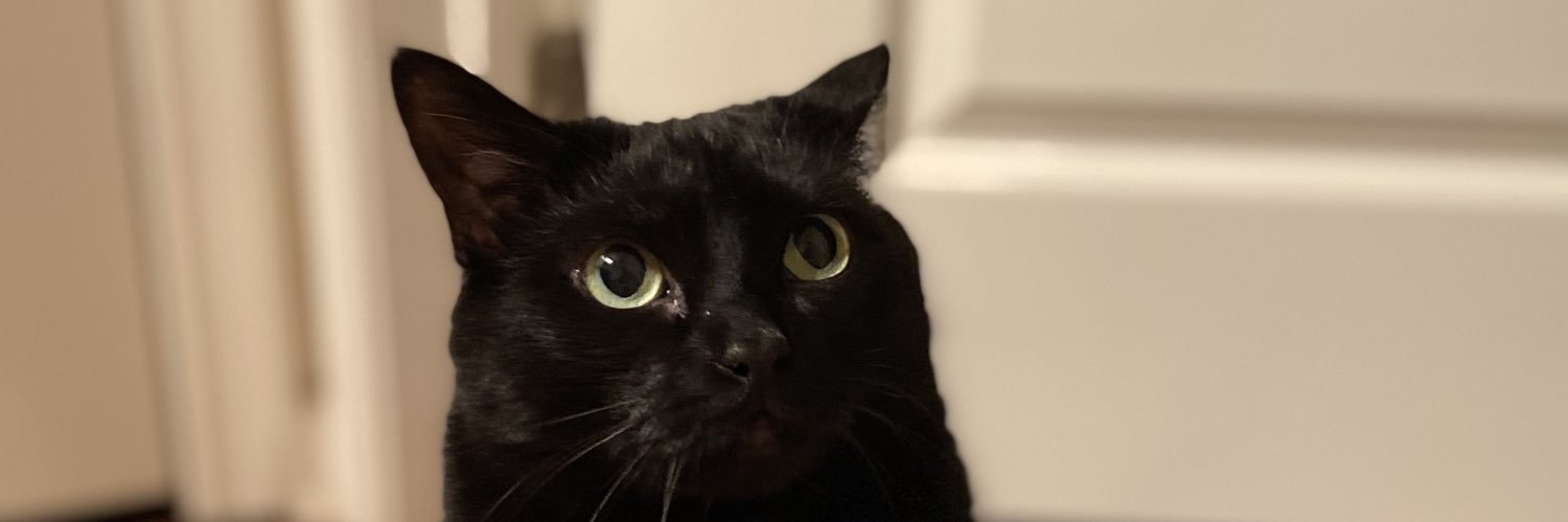 caroline_frank's profile banner image