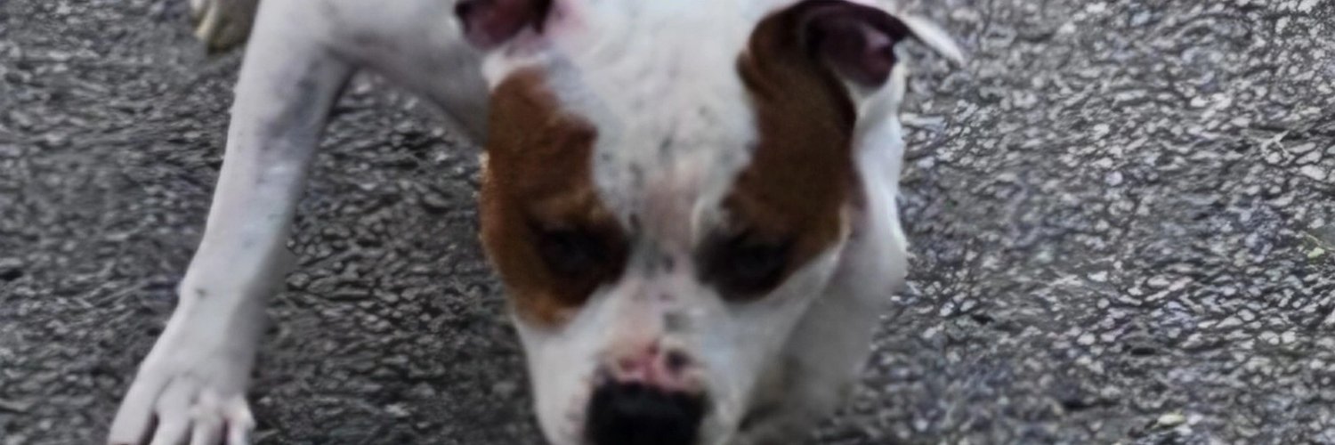 BrackG86's profile banner image