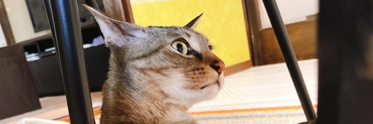 sanely77's profile banner image