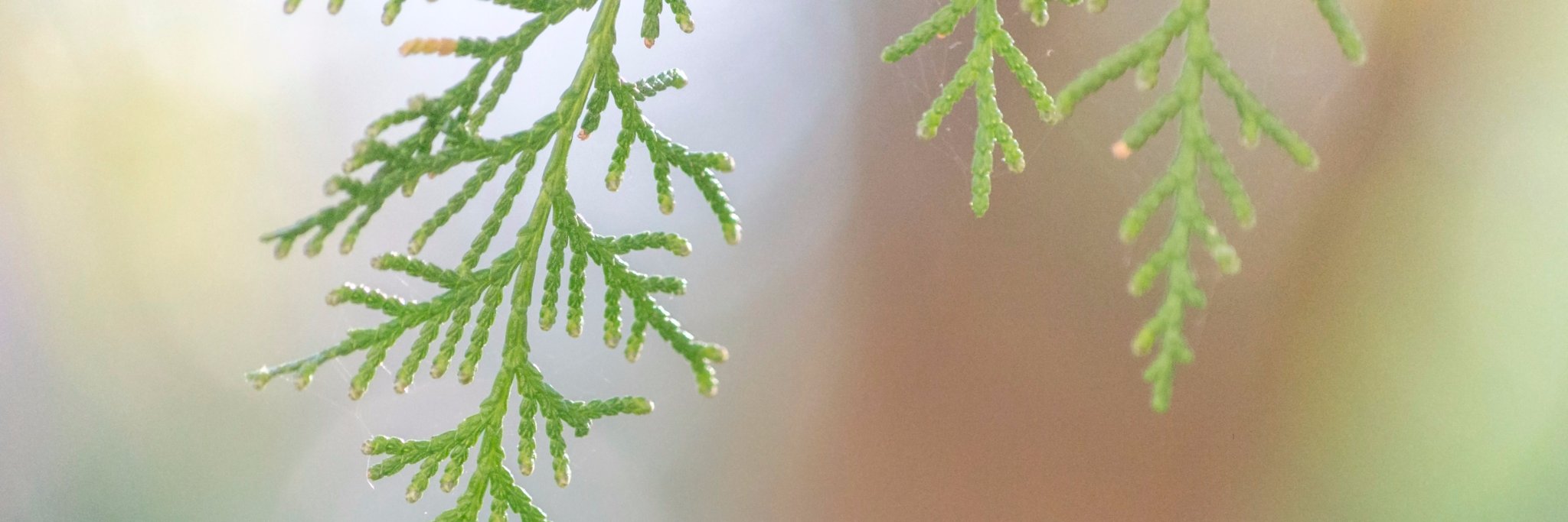 camy487's profile banner image